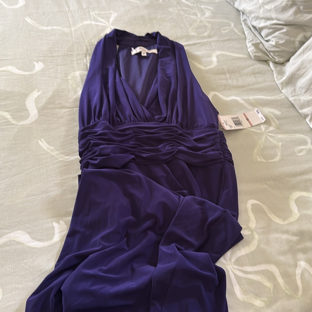 Evan Picone NWT Elegant Purple dress